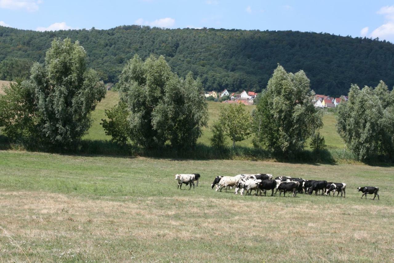 La Ferme De Georges Apt 1 A 6 Pers Bischholtz Екстер'єр фото