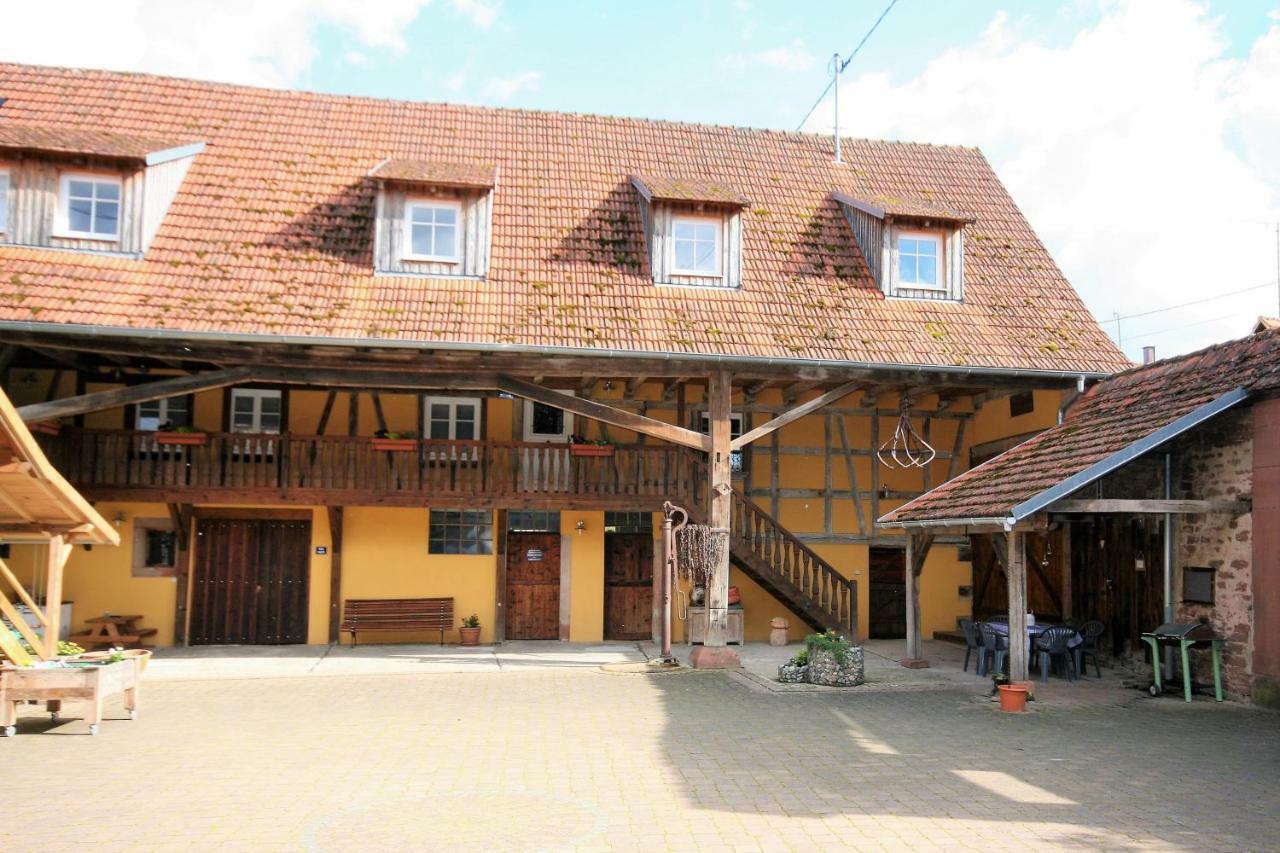 La Ferme De Georges Apt 1 A 6 Pers Bischholtz Екстер'єр фото